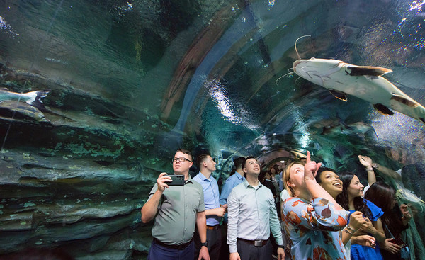 한국을 방문한 하나님의 교회 미국 청년들이 롯데월드 아쿠아리움을 관람하며 즐거워하고 있다. (사진제공=하나님의교회)