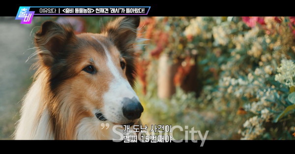 사진출처 / MBC 출발! 비디오 여행