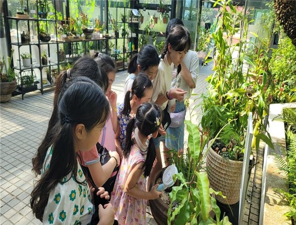 식충식물 탐구활동 모습.