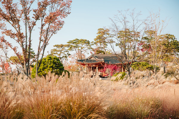 서울식물원 가을 전경(주제원 일대). (사진제공=서울시)