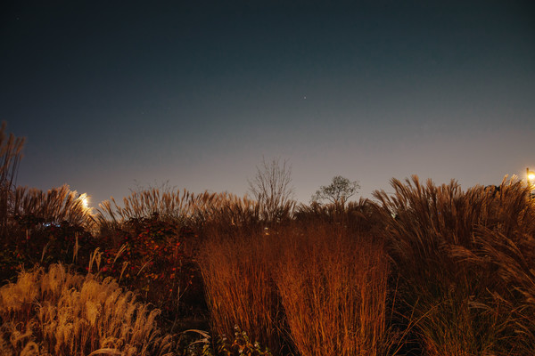 서울식물원 가을 전경(주제원 일대). (사진제공=서울시)