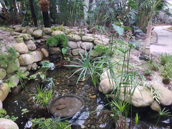 곤충식물원 연못 (출처=동부공원여가센터)