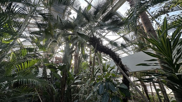 곤충식물원 온실 (출처=동부공원여가센터)