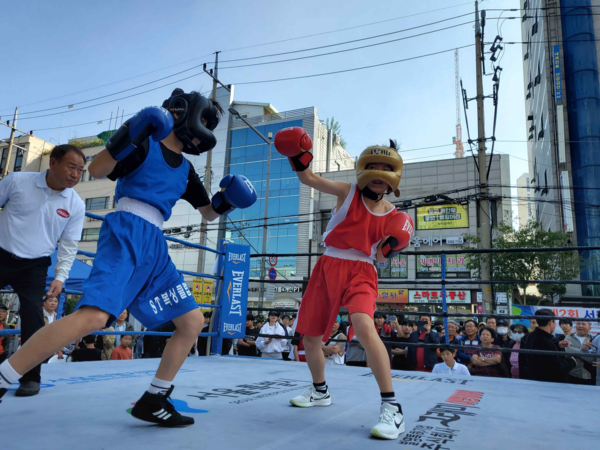 제2회 서울시 생활체육 복싱대회 (출처=서울시 관광체육국)