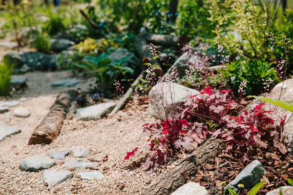 2회 대상 수상 작품 (출처=서울식물원)