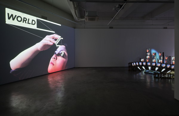 송예환, The Internet Barnacles 인터넷 따개비들, 전시전경, 2025. (이미지 제공=G Gallery)