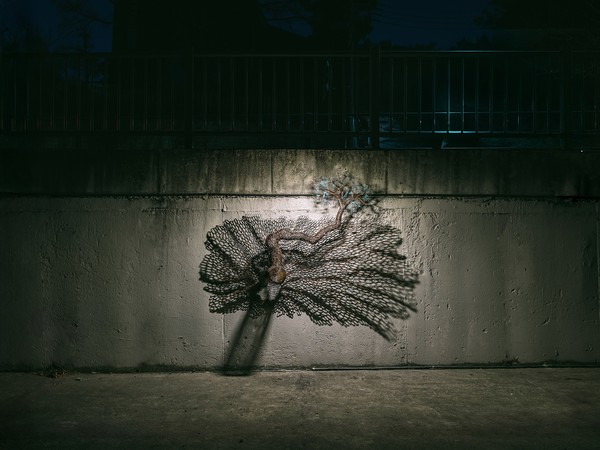 이길래, 천년-소나무 2021-17, 2021년, 동파이프 산소용접, 42(h)x194x150cm. (출처=성북구립미술관)