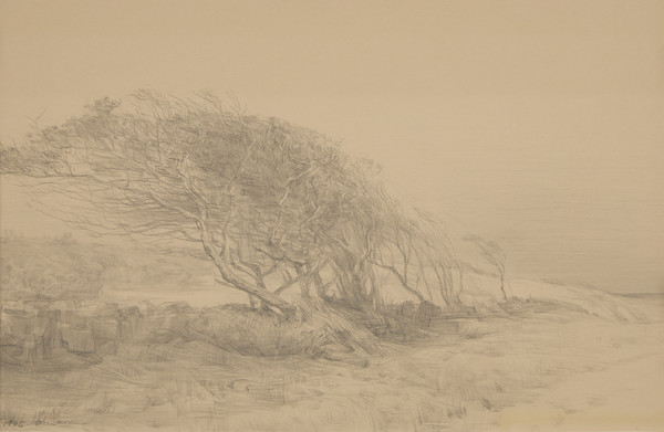 권훈칠 KWON Hoon Chill, 방풍림 Tree Belt, 28x43cm, 종이에 연필 Pencil on paper, 1995. (제공=갤러리 도올)