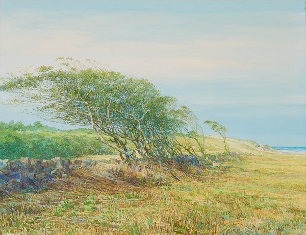 권훈칠 KWON Hoon Chill, 방풍림 Tree Belt, 50x65cm, 캔버스에 유채 Oil on canvas, 1995. (제공=갤러리 도올)
