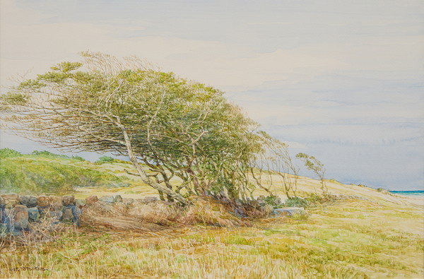 권훈칠 KWON Hoon Chill, 방풍림 Tree Belt, 28x43cm, 종이에 수채 Watercolor on paper, 1995. (제공=갤러리 도올)