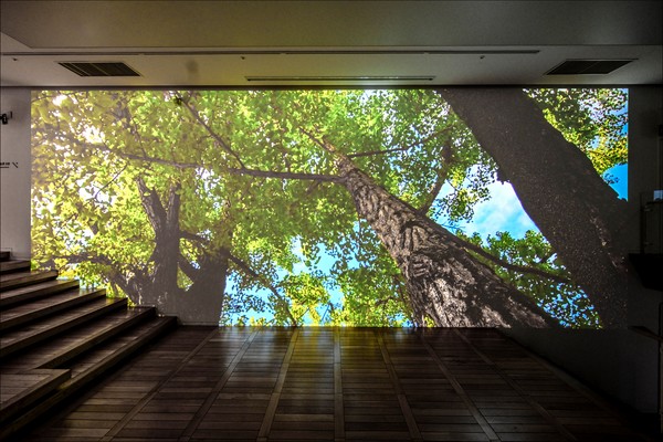 [세종미술관] 미음완보. (사진제공=세종문화회관)