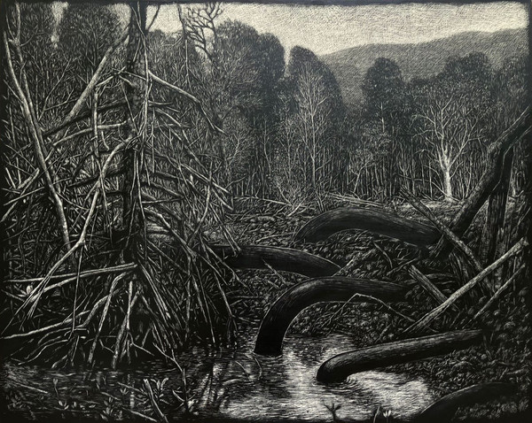 Maryanto, The Shadow behind Roots (Karimun Jawa Islands), 2025, Sgraffito and acrylic on canvas, 80×100cm. (출처=G Gallery)