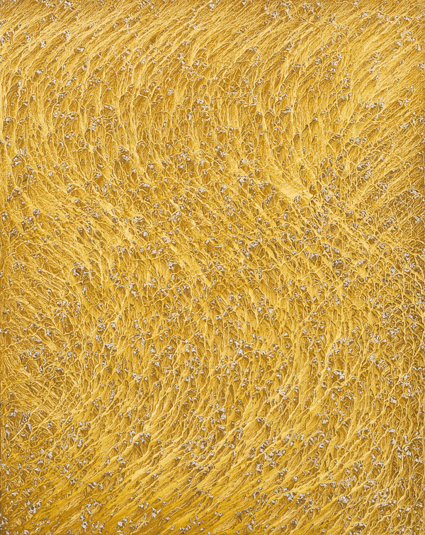 대지의몽상(reve de terre 241114), 2024, soil and chinese ink on canvas, 92x73cm. (출처=데이트갤러리)