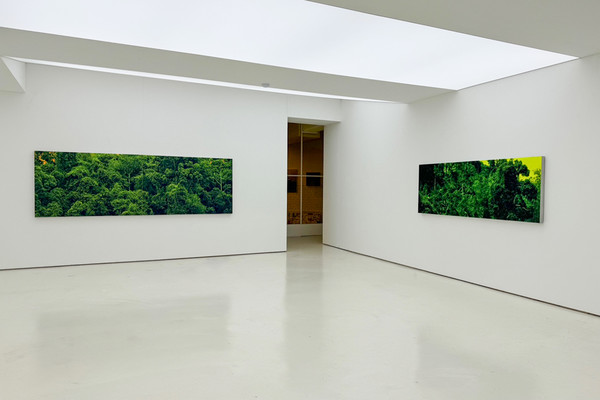 전시 전경. (출처=갤러리분도)