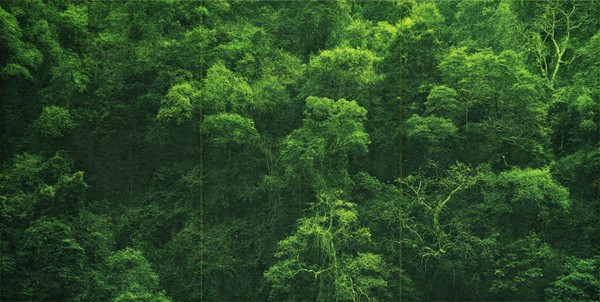 유봉상, BB20230801, 150x300cm, Headless pin, Acrylic on wood, 2023. (출처=갤러리분도)