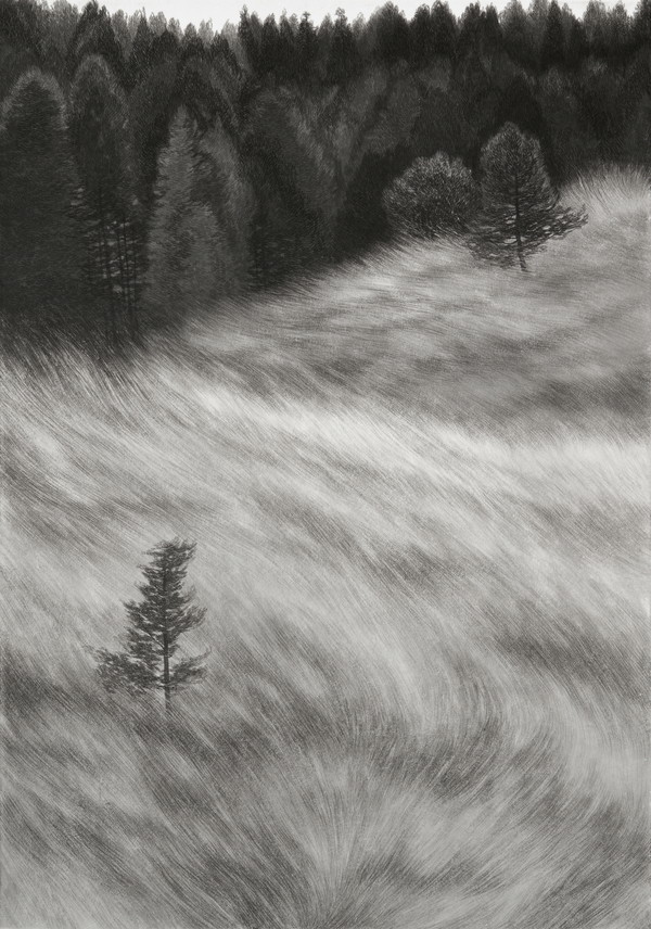 권소영, 억새의 파도, 한지에 수묵, 65.1x45.5cm, 2024. (출처=히든엠갤러리)