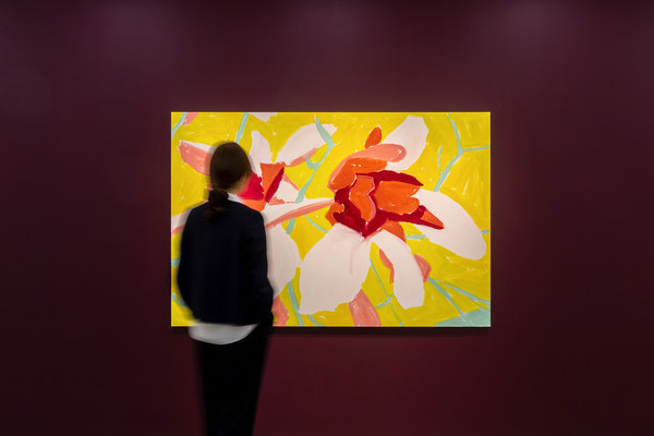 설치 전경. (출처=김리아갤러리)