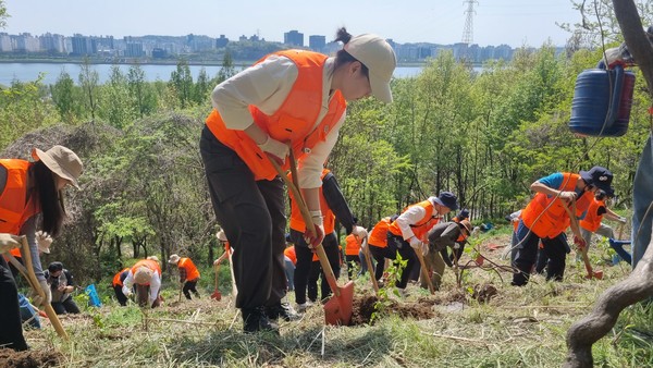 4.26.(토) 월드컵공원에서 2027년 천주교 세계청년대회 개최 기념 식목행사가 진행되었다. 이날 산림청에서 지원받은 산수유 300그루를 식재하였다. (출처=서울시 정원도시국)