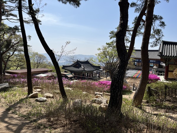 현황사진. (출처=서울시 정원도시국)