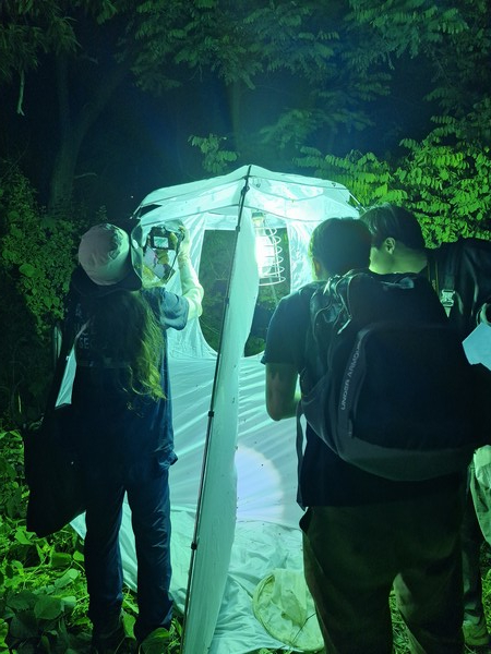 2024년 탐사모습. (출처=서울시 자연생태과)