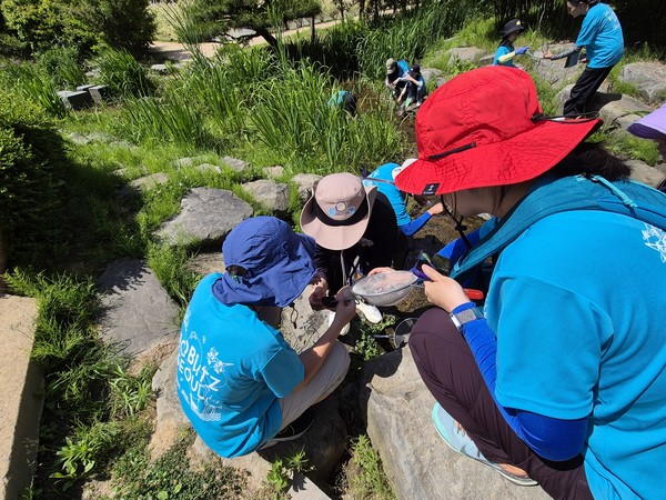 2024년 탐사모습. (출처=서울시 자연생태과)