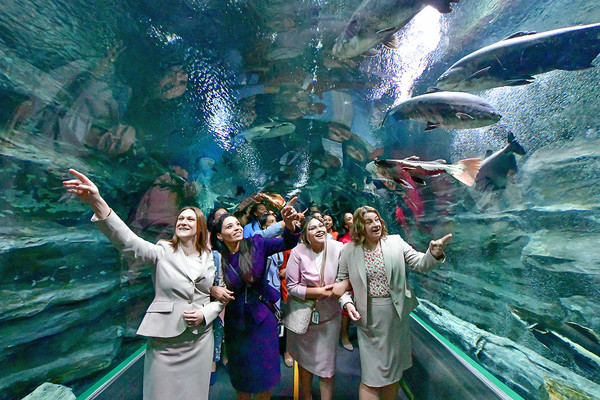 서울나들이에 나선 82차 하나님의 교회 해외성도방문단이 서울 송파구에 위치한 롯데월드타워 아쿠아리움에서 해양동물들을 만나며 행복한 추억을 만들었다. (사진제공=하나님의교회)