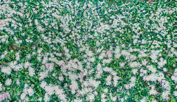 허보리, Little Flowers, 2025, oil on canvas (출처=갤러리 플래닛)