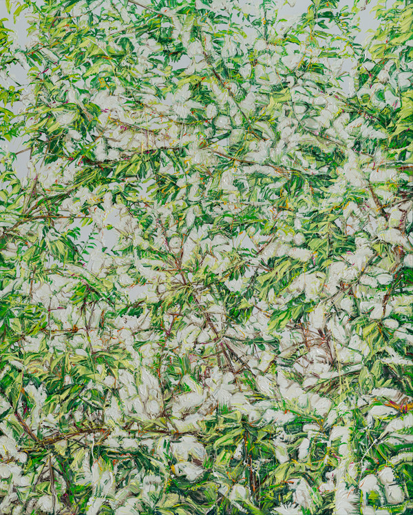 허보리, Tree Abstract, 2025, oil on canvas, 162x130cm (출처=갤러리 플래닛)