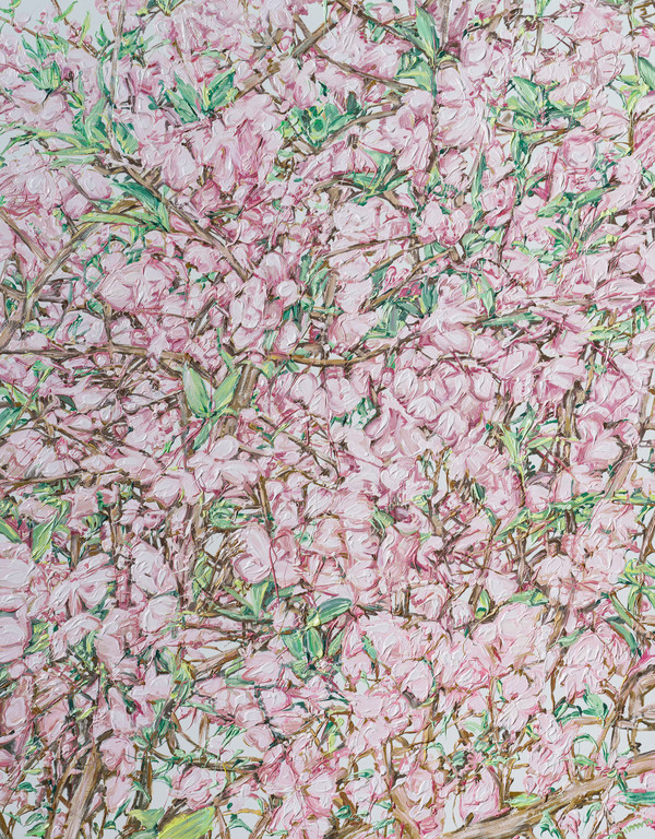 허보리, Pink, oil on canvas, 91x116cm (출처=갤러리 플래닛)