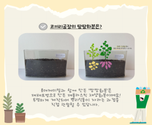 업사이클 가드닝 (출처=서울디자인재단)