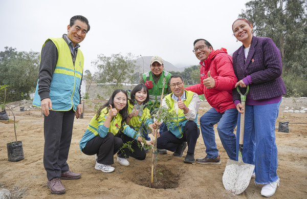 지난달 20일(현지시각) 페루 리마 치에네기야 루린 강변에서 ASEZ WAO가 개최한 '페루 환경부와 함께하는 나무심기 활동' 모습. 환경부 환경정보 등 정부 관계자와 치에네기야 부청장 등 150명이 참여했다. (사진제공=하나님의교회)
