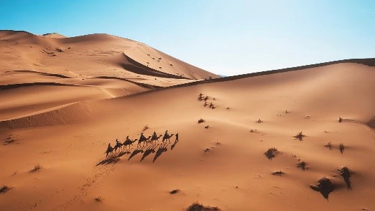 Serene beauty of the Moroccan Sahara Desert