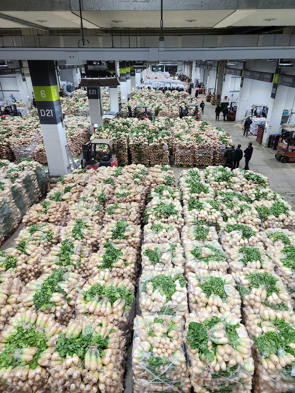 가락시장 채소2동에서 거래되는 다발무 (사진제공=서울시농수산식품공사)