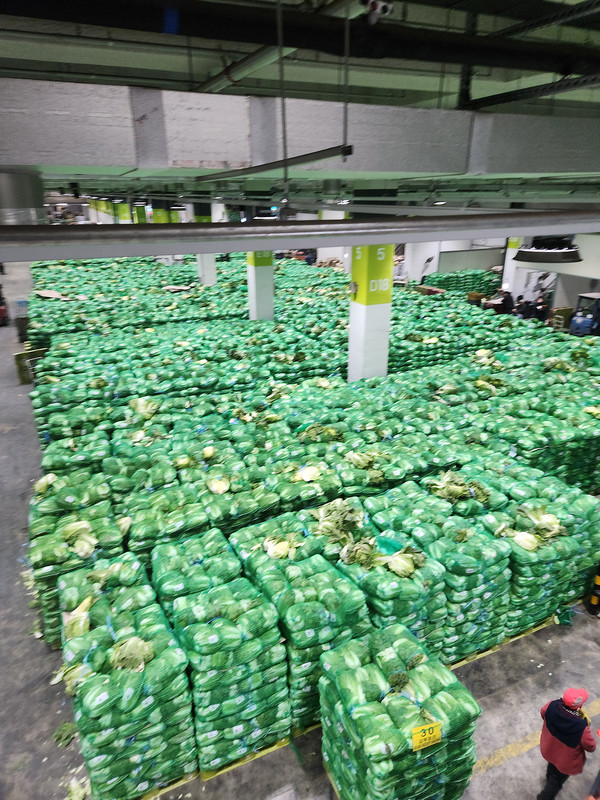 가락시장 채소2동에서 거래되는 배추 (사진제공=서울시농수산식품공사)